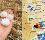 Thousands left without power after wild storms batter New South Wales and Queensland with hail