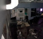 Video shows hungry black bears ransacking gym, stealing protein shakes