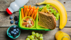 Australian parents rebel against restrictive lunchbox policies, new University of Adelaide study finds