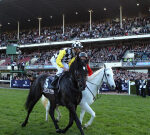 Legendary Australian racehorse So You Think passes away aged 19