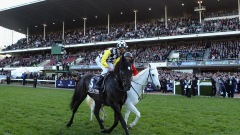 Legendary Australian racehorse So You Think passes away aged 19