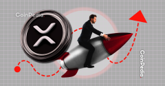 Brale Goes Live on XRP Ledger, Big Boost for Stablecoins and Payments!