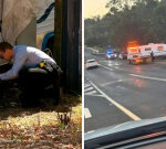 Terrifying details emerge after caravan hijacked with children inside on Gold Coast hinterland