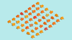 When Setting the Standard for Your Team, Avoid This Common Mistake