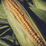 Corn Slipping Weaker on Thursday