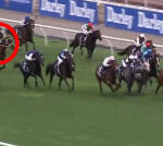 Full 2025 Melbourne Cup finishing order: Concerns as top contender Buckaroo struggles to the line