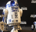 Bird or droid? Starlings nail R2-D2 beeps and boops.