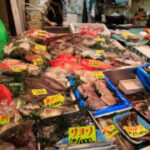 Japan resumes seafood exports to China 2 years after Fukushima wastewater release