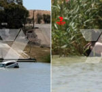 Driver pulled from sinking car after ferry mishap in South Australia’s Riverland region