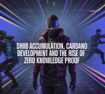 SHIB Accumulation, Cardano Development and The Rise of Zero Knowledge Proof