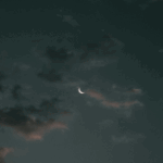 November to January Horoscope Insights