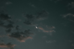 November to January Horoscope Insights