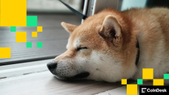 DOGE Beats the Blue Chips as D.O.G.E Calls It Quits