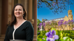 Adelaide University seeks new deputy vice-chancellor after Paula Ward resigns amid WFH storm