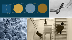 CEO Turnover is Accelerating