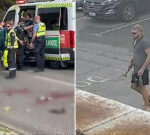 Matthew William Lawson sentenced over savage attack with car and hammer on Trae Black in Perth