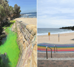 Coogee Beach turns fluorescent green thanks to plumbers’ dye