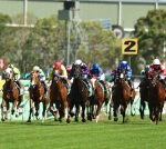 Rosehill races pushed back a day due to forecast of extreme Sydney heat
