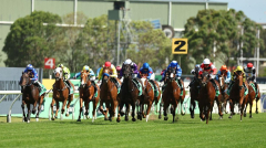 Rosehill races pushed back a day due to forecast of extreme Sydney heat