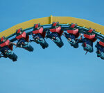 5 Ways Organizations Can Pivot with Purpose