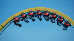 5 Ways Organizations Can Pivot with Purpose