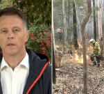 Firefighter killed in Bulahdelah blaze as Anthony Albanese and Chris Minns pay respects