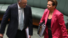 Attorney-General Michelle Rowland and Health Minister Mark Butler snared in growing expenses saga