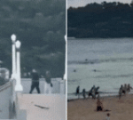 Bondi Beach shooting: How celebration turned to terror in a matter of minutes