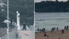 Bondi Beach shooting: How celebration turned to terror in a matter of minutes