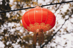 Year of the Yang Fire Horse