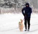 Ice warnings across parts of UK as cold snap sets in