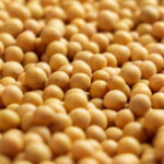 Soybeans Bouncing Off Midweek Lows