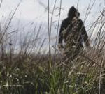 ‘Gang in balaclavas targeted our combine harvester’: Farmers welcome rural crime crackdown