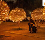 Christmas 2025: Retail stores to remain closed on December 24, 25—Know what’s open? Details here