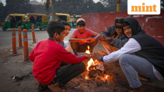 Weather today: Dense fog envelops Delhi, Punjab, Haryana, UP, Madhya Pradesh; IMD warns of cold day conditions
