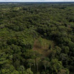Colombia will use drones to destroy coca crops