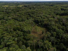 Colombia will use drones to destroy coca crops