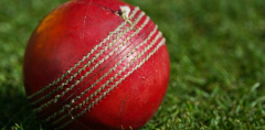 Why do cricket balls have to be so hard?
