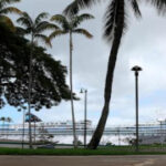 Judge upholds Hawaii’s new climate change tax on cruise passengers