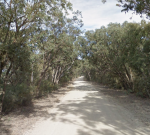 Teenager dies, two others flown to hospital after car hits tree near Taree on NSW Mid North Coast