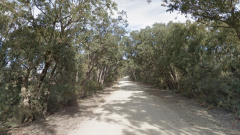 Teenager dies, two others flown to hospital after car hits tree near Taree on NSW Mid North Coast