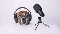 The Most Popular HBR Podcast Episodes of 2025