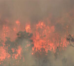 Boya bushfire: Blaze downgraded to watch and act but lives and homes still under threat