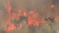 Boya bushfire: Blaze downgraded to watch and act but lives and homes still under threat