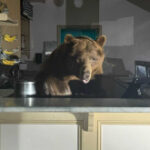 Stocks need to find their footing fast if investors hope to keep the bears away