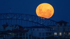 Why the ‘Wolf Moon’ is set to appear larger than normal this year