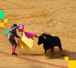 Bitcoin briefly hits $93,000 as crypto market extends new year rally with $260 million in liquidations