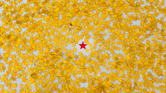 When There’s Nowhere to Promote a Star Employee