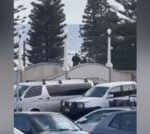 Video appears to show alleged gunmen on bridge connected to beach