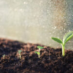 Why nutrient-dense crops matter in the age of GLP-1